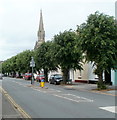 Watton trees and church spire, Brecon