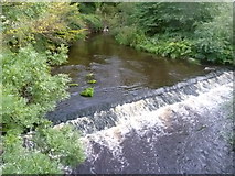 NT2270 : Water of Leith weir, Slateford by kim traynor