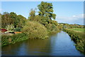 River Arun, Pulborough, Sussex