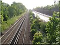 Rail and road, Eltham