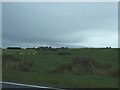 Farmland off the A171