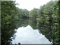 Pond, Llantarnam Park Way, Cwmbran