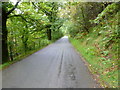 Llwyn Madoc, country road