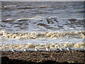 Gulls on the beach, Doniford