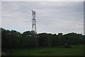 Pylon by the West Coastway Line