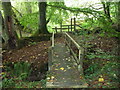 Footbridge in woodland