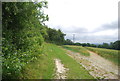 Footpath along a hedge line