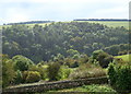 SK2066 : View across Lathkill Dale by Andrew Hill