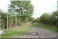 Bridleway off Cuckoo Cage Lane, Tatenhill Common