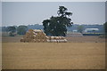 Piles of bales near Thormanby