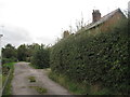 Cottage access at Manley Common