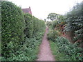 Footpath at Manley Common