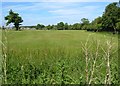 Football pitches, Bristol