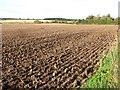 NT7838 : Ploughed field, Birgham by Richard Webb