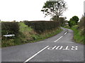 View south along the Ballyedock Road from the Tollumgrange Crossroads