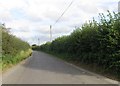 Marsh Lane near Winterborne Kingston