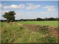 Footpath across fields, Silfield