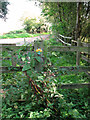 Footpath from Wymondham to Silfield