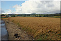 Field at the end of Mill Lade