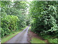 Road from the Gardens to Cullen House