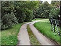 Path beside Squerryes Court Lake