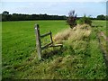 Redundant stile on the Wey-South Path