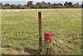 Red markers on Upton Ham