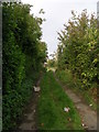 Footpath - Stutton Road