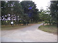 Bridleway & Entrance to Ferry Farm