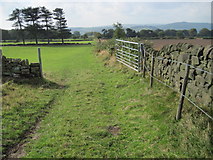 SK3360 : Footpath from Blakelow Farm towards Tansley Knoll by Chris Wimbush