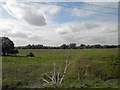 TL1847 : Farmland alongside the East Coast main railway line by Steve  Fareham