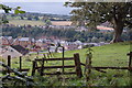 Jedburgh from Hartrigge Park