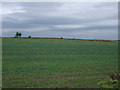 Farmland south of Sharlston