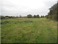 Footpath to Collingham