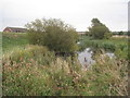 Nature reserve by Old Trent Lane