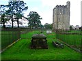 Cambuskenneth Abbey, Royal grave [4]