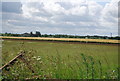 Farmland , Park Corner Farm