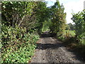 Track leading to Smithills Dean Road