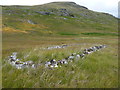 NH1815 : Ruined longhouse (or a sheepfank) at the base of Carn a' Choire Bhuidhe by Richard Law