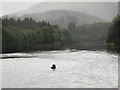 River Tay at  Dunkeld