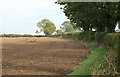 SK8793 : Sown field off Green lane by roger geach