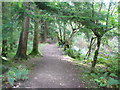 The footpath by the Glenashdale Burn to the Glenashdale Falls