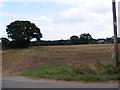 Footpath to Boyton