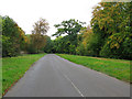 View along the road to Stanton Fitzwarren