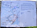 TM3644 : Footpath amendment notice on the footpath to Shingle Street by Geographer
