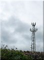 Telecommunications mast by the A1167