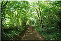 Bridleway south to Galley Wood