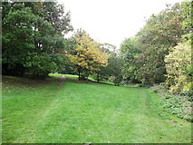 TQ3574 : Paths in Brenchley Gardens by David Anstiss