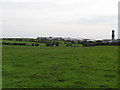 Former RAF hutments converted into dwellings