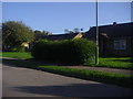 Houses on Buckwood Road, Markyate